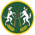 NFTA-Colour-Logo.png